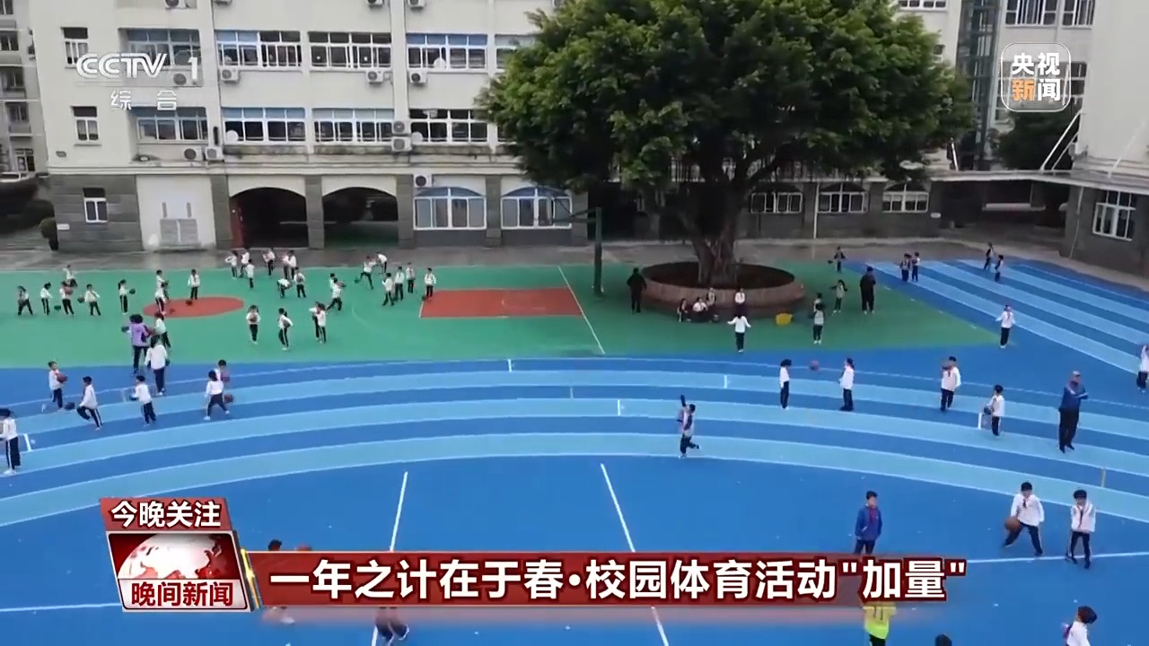 网一路高歌