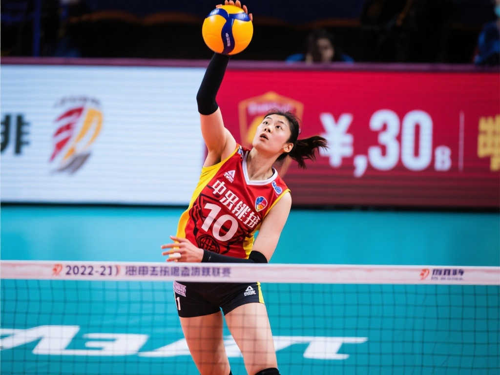 洲篮球锦标 洲篮球锦标