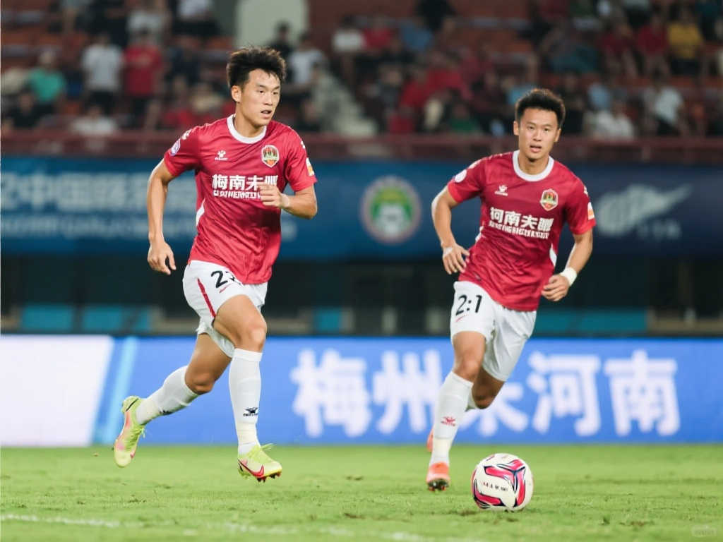 并未轻易缴 并未轻易缴