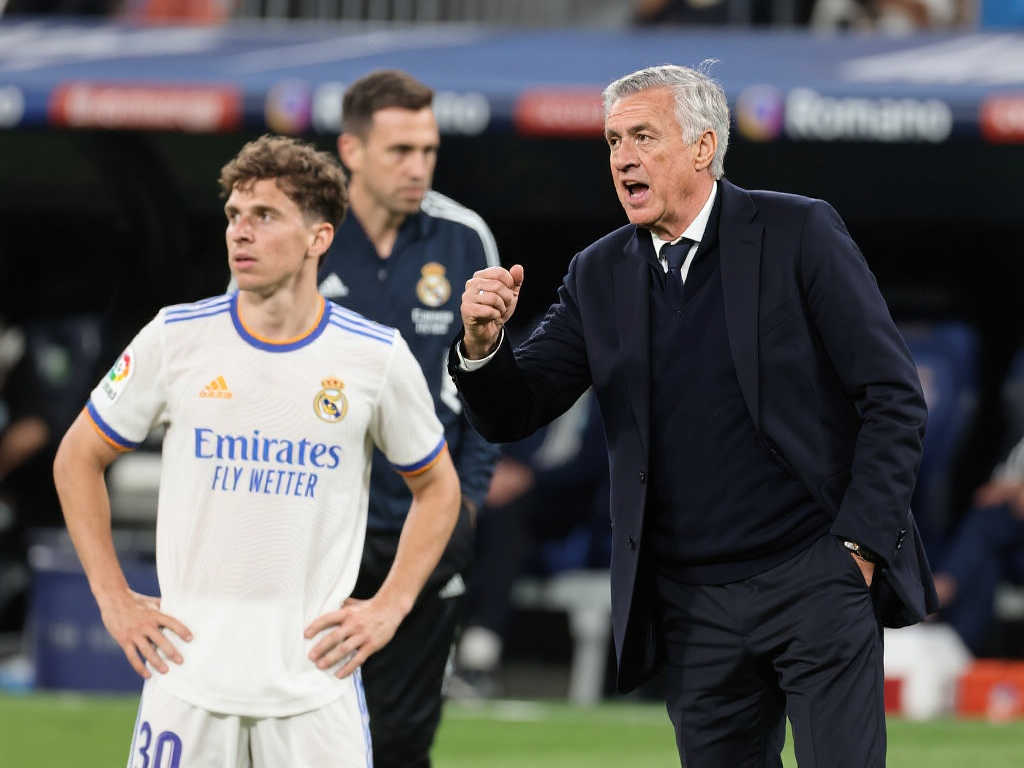 在这一过程 在这一过程